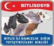 Bitlis İli Damızlık Sığır Yetiştiricileri Birliği - Bitlis
